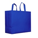 Non-woven takeaway bags - 45x20x40Hcm